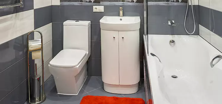 Hansgrohe Shaving Mirror Pasadena